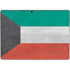 Kuwait Flag Distressed Surface Pro 9 Skin